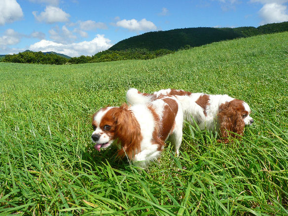 アリス＆ケイティ