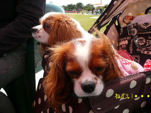 アリス＆ケイティ