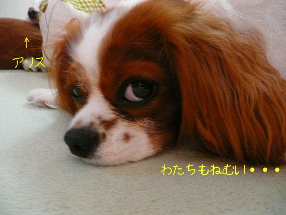 アリス＆ケイティ