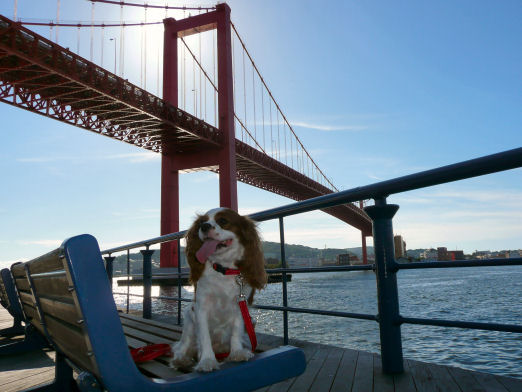 maroali08.8.27 055.jpg