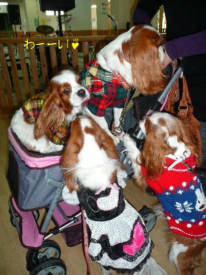 ノア・ライフくん