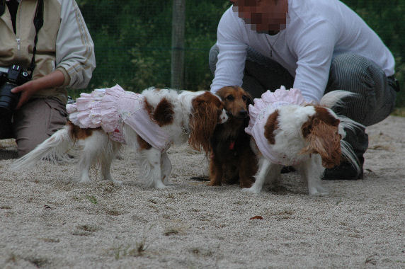 りょうたくん・アリケイ