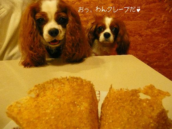 アリス＆ケイティ