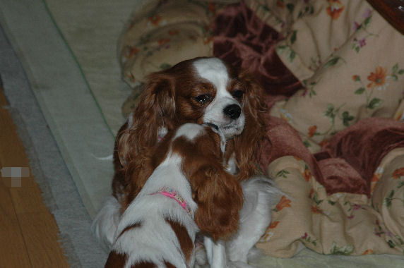 アリス＆ケイティ