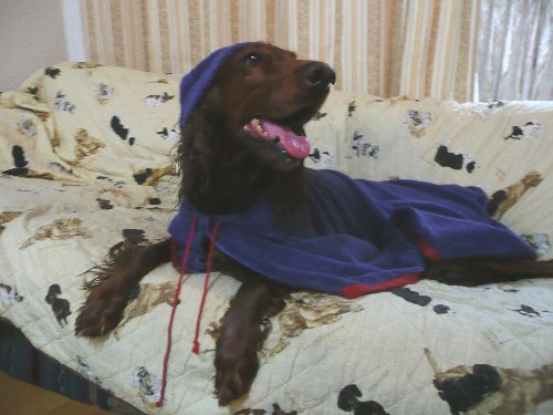 07.7furoagari.sakana 054.jpg