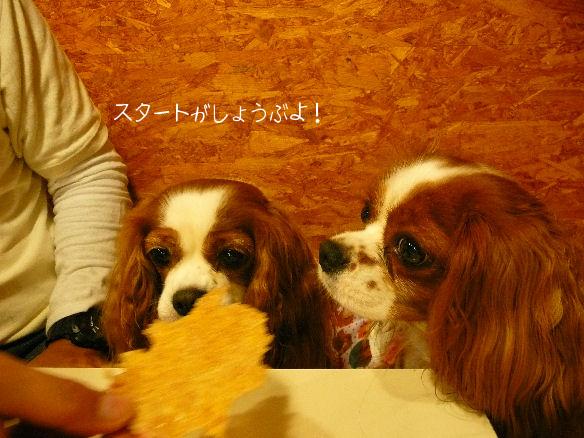 アリス＆ケイティ