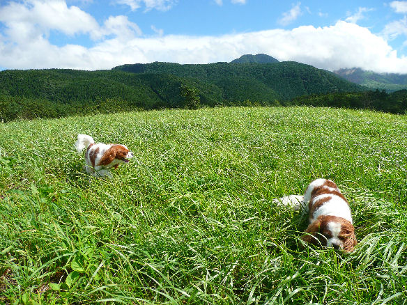 アリス＆ケイティ