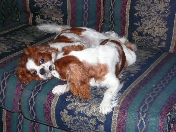 アリス＆ケイティ