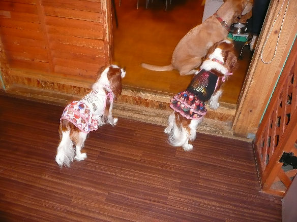 10.09 tarohana.sanpo 020.jpg