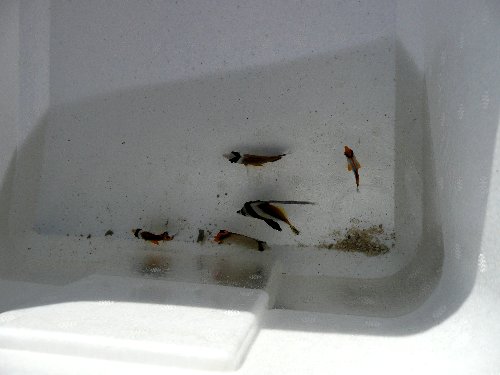 07.8miyazaki 056.jpg