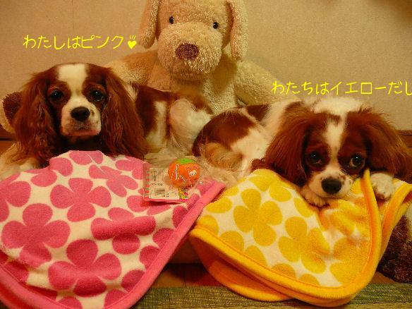 アリス＆ケイティ