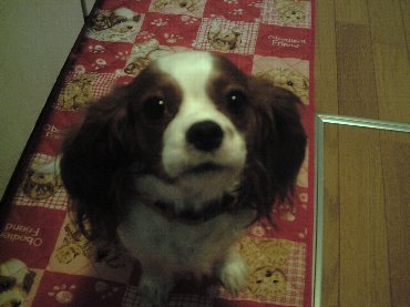 suisou.ali.hikosan 031.jpg