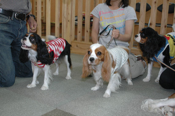 シンちゃん.あいりちゃん.くうちゃん