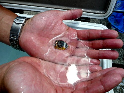 07.8miyazaki 034.jpg