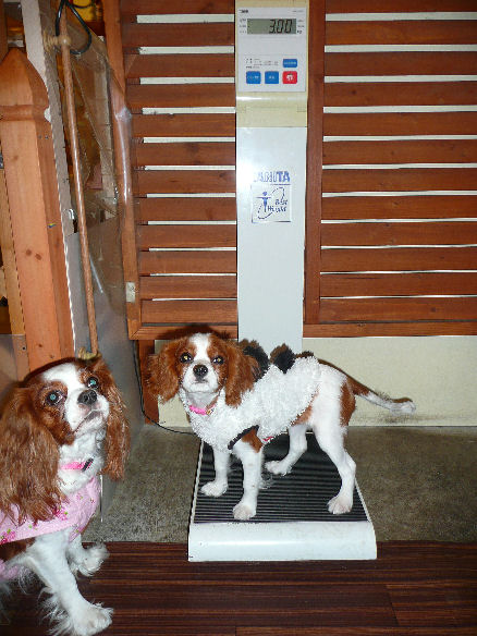 アリス＆ケイティ