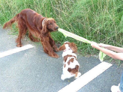 07.7ryousuke.maro&arice 049.jpg