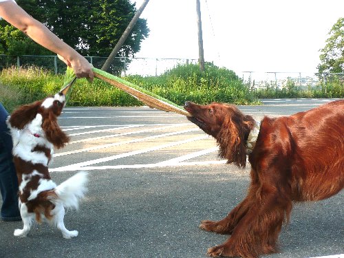 07.7ryousuke.maro&arice 045.jpg