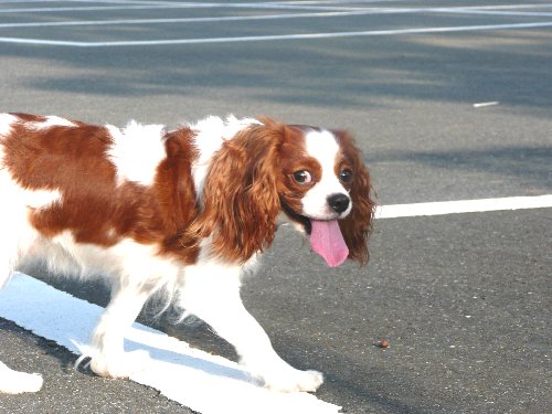 07.7ryousuke.maro&arice 031.jpg