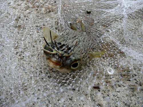 07.8miyazaki 086.jpg