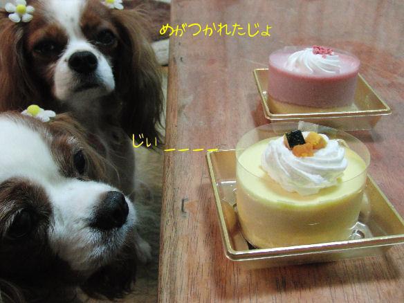 アリス＆ケイティ