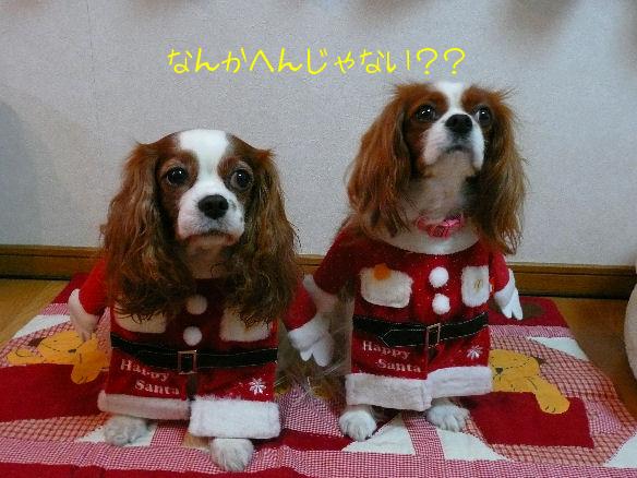 アリス＆ケイティ