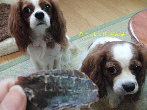 アリス＆ケイティ