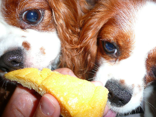 アリス＆ケイティ