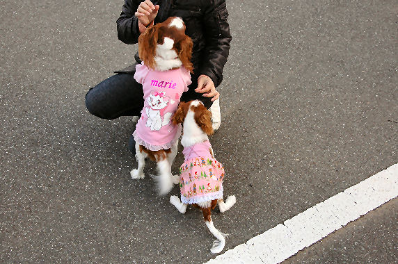 アリス＆ケイティ