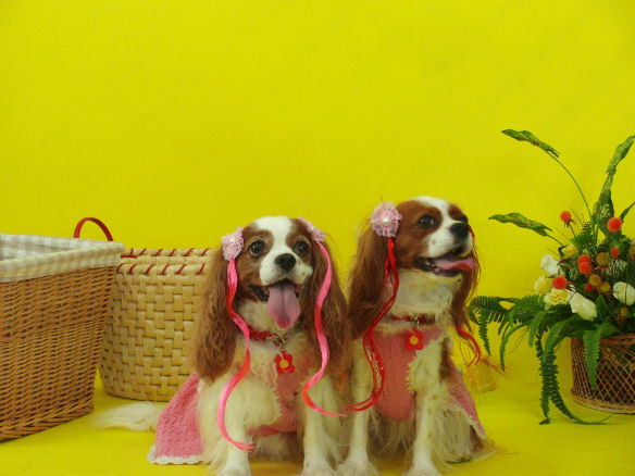 アリス＆ケイティ