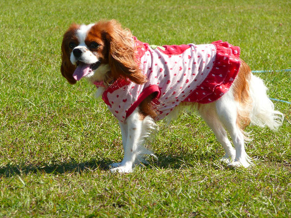 10.11 himitukiti 044.jpg