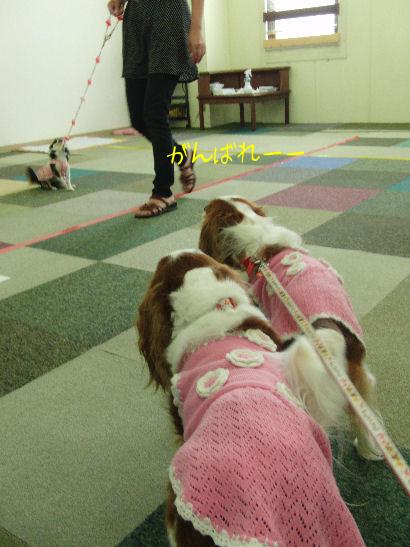 アリス＆ケイティ