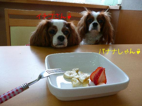 アリス＆ケイティ