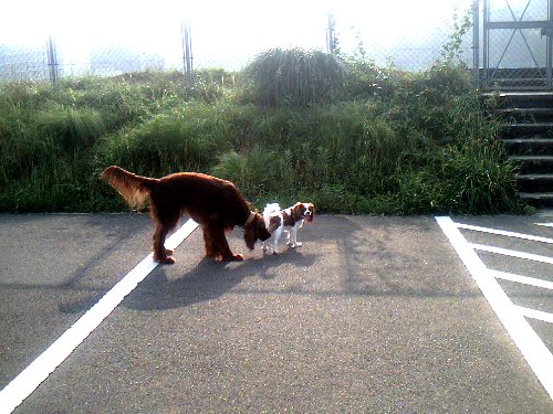 konpira.sanpo 007.jpg