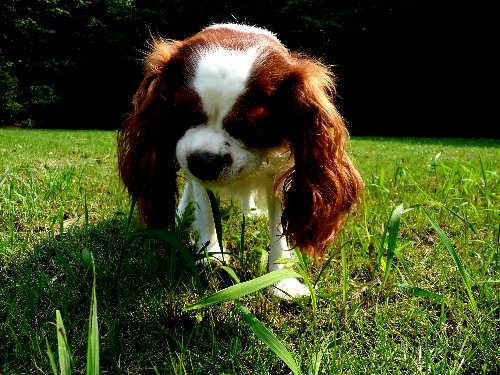 07.7green park 028.jpg