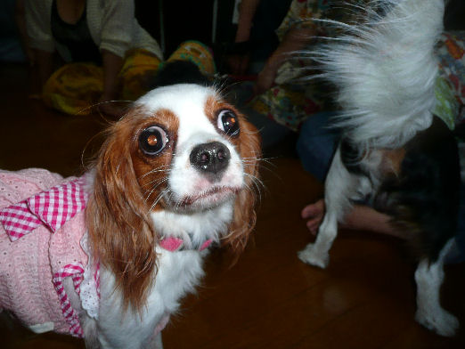 09.07 TRB ofukai kurume 174.jpg