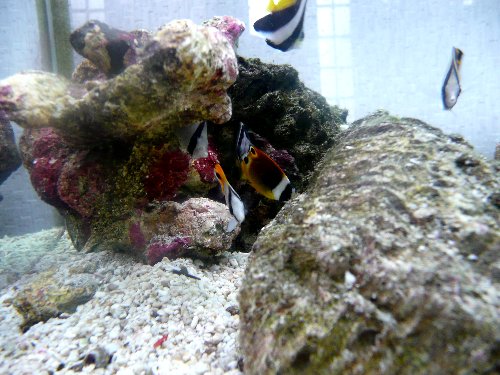 07.8kaisui.suisou 007.jpg