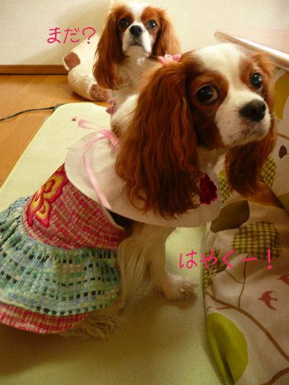 アリス＆ケイティ