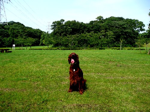 07.7green park 013.jpg