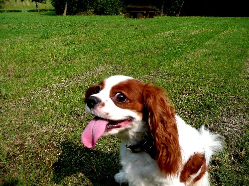 07.7green park 020.jpg