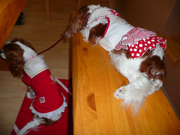 アリス＆ケイティ