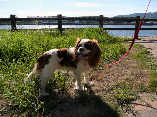 maroali08.8.27 019.jpg