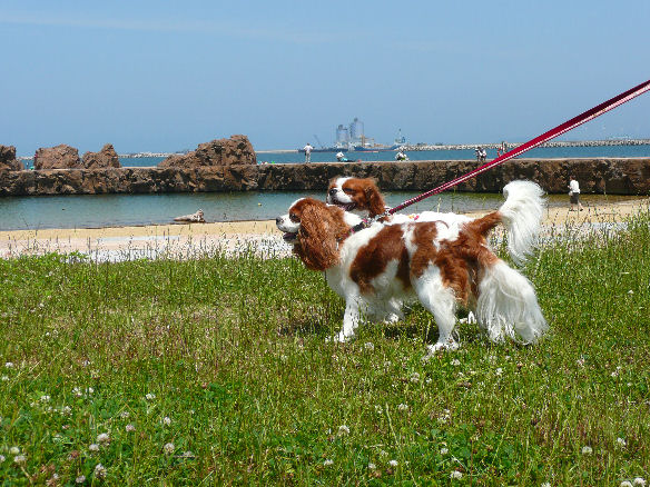 アリス＆ケイティ