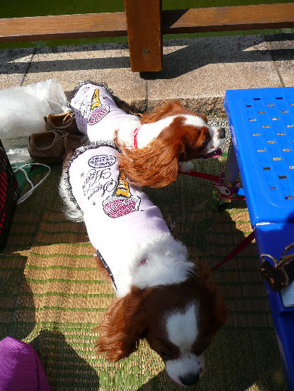 アリス＆ケイティ