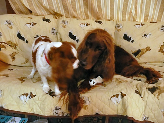 07.12 pie epi maroali 089.jpg