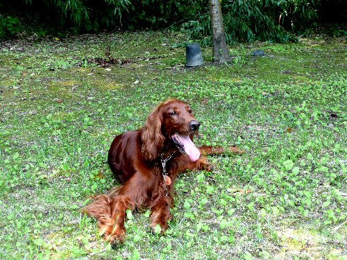 07.7green park 005.jpg