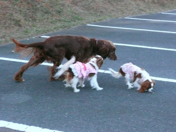 マロン＆アリス＆ケイティ