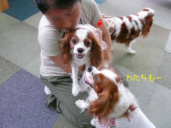 アリス＆ケイティ