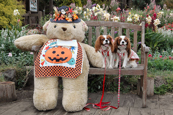 アリス＆ケイティ