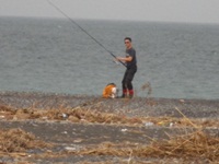 釣れない？