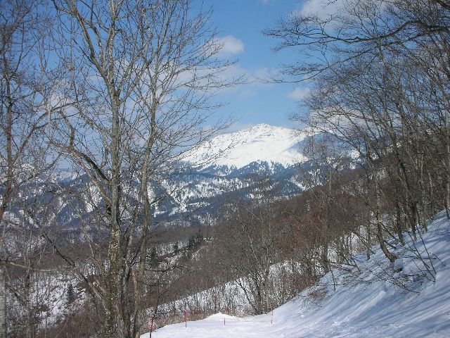 至仏山